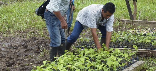 La URT ha cumplido más del 70 % de las órdenes en materia de proyectos productivos