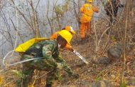 Las recomendaciones de la Defensa Civil para evitar incendios forestales en el Cesar