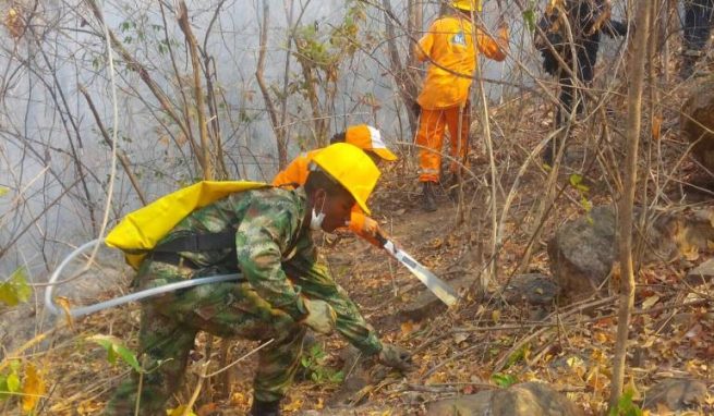 Las recomendaciones de la Defensa Civil para evitar incendios forestales en el Cesar