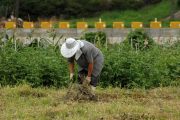 Procuraduría vigilará proceso de construcción de la Política Pública para la Población Campesina