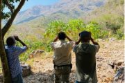 Cinco cóndores fueron observados en el Parque Los Besotes