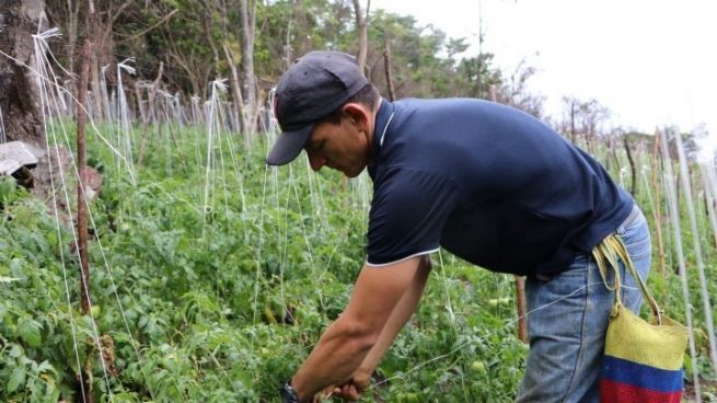 Gobierno Nacional lanza el Sistema Nacional de Reincorporación