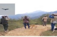 Asi fue el avistamiento de cóndores de los andes en La guajira