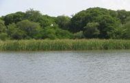 Un llamado para la protección de la laguna Salá en La Guajira