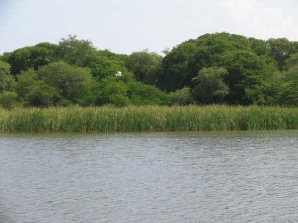 Un llamado para la protección de la laguna Salá en La Guajira