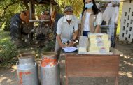 12 familias restituidas en El Copey, Cesar, beneficiadas con acuerdo de comercialización láctea