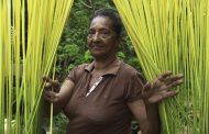 Artesanos de Cesar a participar de las convocatorias 2021 de Artesanías de Colombia