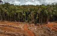 Minagricultura anuncia línea de crédito para financiar proyectos de recuperación en zonas con deforestación