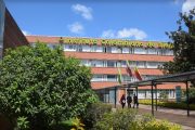 Icbf denunciará a grupos armados por reclutamiento forzado de niñas niños y adolescentes