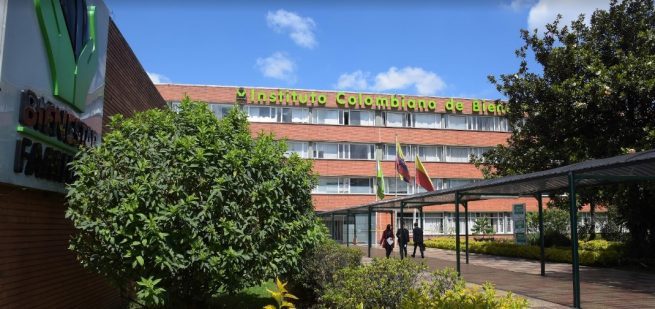 Icbf denunciará a grupos armados por reclutamiento forzado de niñas niños y adolescentes