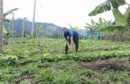Minagricultura le apuesta a sumar en 2021 cien mil nuevos productores a Agricultura por Contrato