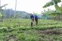 Minagricultura le apuesta a sumar en 2021 cien mil nuevos productores a Agricultura por Contrato