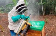 Cerrejón dona a Hatonuevo un apiario para la producción de venta de miel artesanal