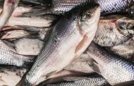 Recomendaciones de Minsalud sobre el consumo de pescado en Semana Santa
