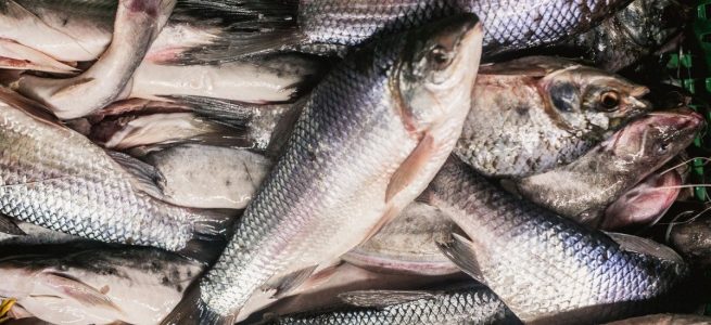 Recomendaciones de Minsalud sobre el consumo de pescado en Semana Santa