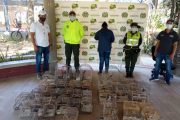 Recuperadas 224 especies silvestres en diligencias contra el tráfico de fauna en Atlántico, Antioquia, La Guajira, Tolima y Córdoba