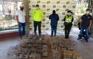 Recuperadas 224 especies silvestres en diligencias contra el tráfico de fauna en Atlántico, Antioquia, La Guajira, Tolima y Córdoba
