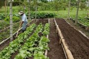 Gobierno y sector productivo del agro unen esfuerzos para impulsar política pública de insumos agropecuarios