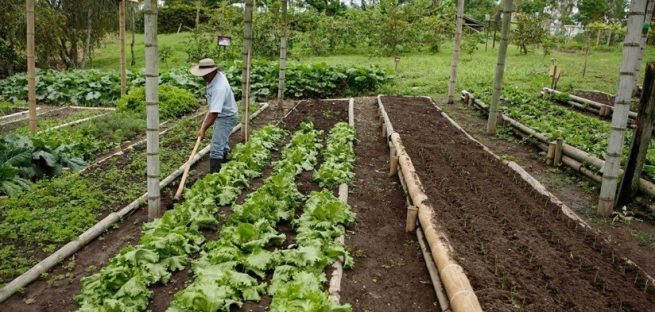 Gobierno y sector productivo del agro unen esfuerzos para impulsar política pública de insumos agropecuarios