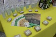 Negocios verdes, una oportunidad de emprendimiento promovida por Corpoguajira