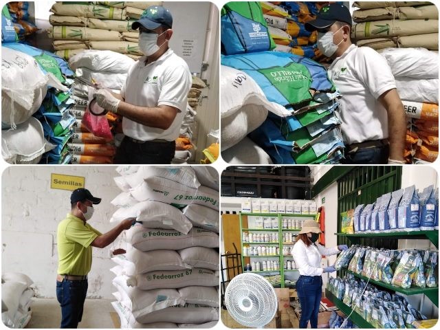 En el Cesar, el ICA adelanta supervisión a establecimientos de comercio de semillas