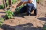 Con productores del departamento del Cesar, Agrosavia sociabiliza proyecto tolerante a la sequía
