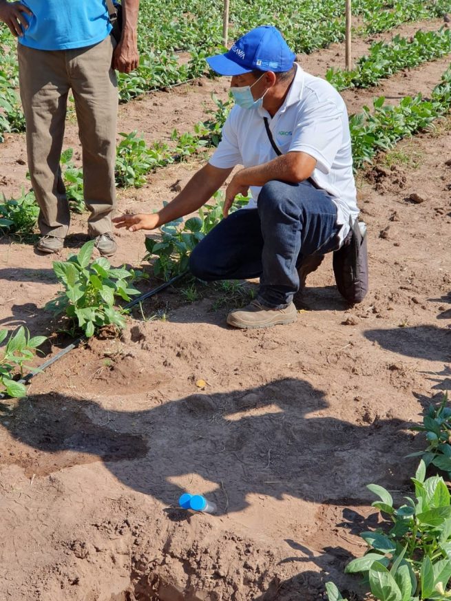 Con productores del departamento del Cesar, Agrosavia sociabiliza proyecto tolerante a la sequía