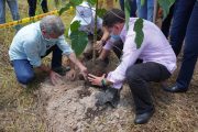 Revive, un programa de ayuda para la población carcelaria y la siembra de árboles