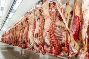 Nuevas plantas de beneficio autorizadas para la exportación de carne a Arabia Saudita