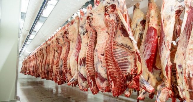 Nuevas plantas de beneficio autorizadas para la exportación de carne a Arabia Saudita