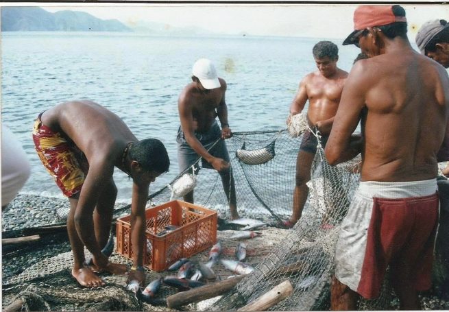 En Semana Santa el consumo de pescado aumenta en promedio 60 %