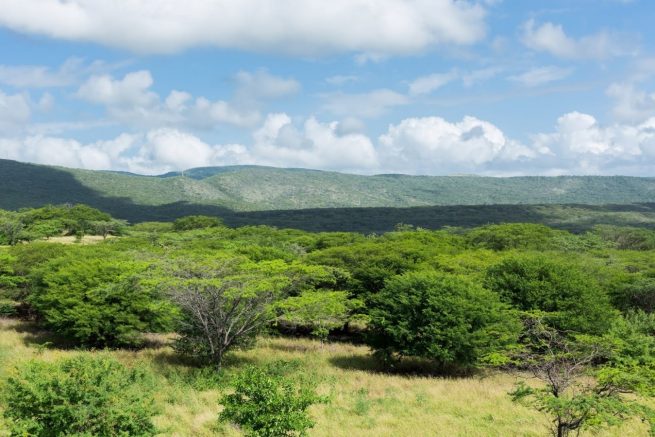 Corpoguajira conmemorará el día internacional de la madre tierra
