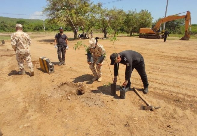 En Buenavista (La Guajira), Ejercito Nacional plantó 450 árboles