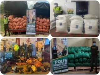 $ 890 millones incautados en productos agropecuarios de contrabando