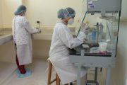 Laboratorio de Salud Pública del Cesar aumentó su capacidad para procesar pruebas PCR
