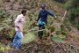 Pago bimestral por la conservación y restauración de la Serranía del Perijá, recibirán 50 familias campesinas