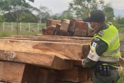 La Polfa asestó golpe al tráfico de madera ilegal en Cesar