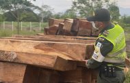 La Polfa asestó golpe al tráfico de madera ilegal en Cesar