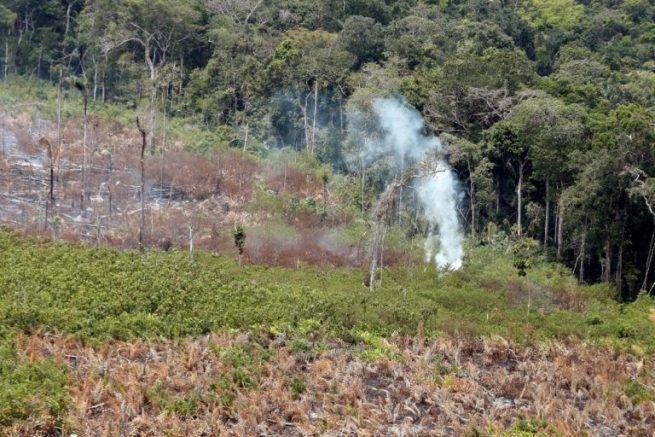 Para disminuir la pérdida de la biodiversidad, Corpocesar monitorea ecosistemas claves