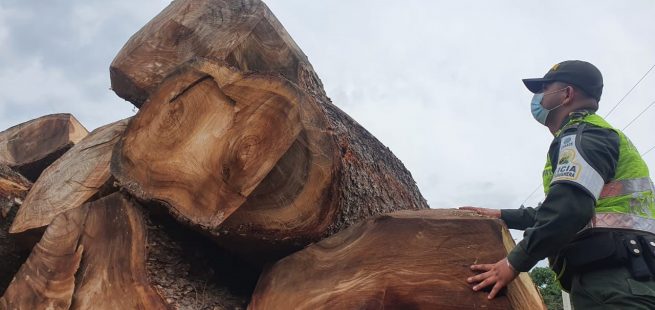 50.3 metros cúbicos de madera incautó la Polfa en el Cesar