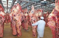 Primer contenedor de carne bovina colombiana es exportado al mercado de Macao (China)