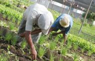 Pequeños y medianos productores agropecuarios podrán hacer acuerdos de pago