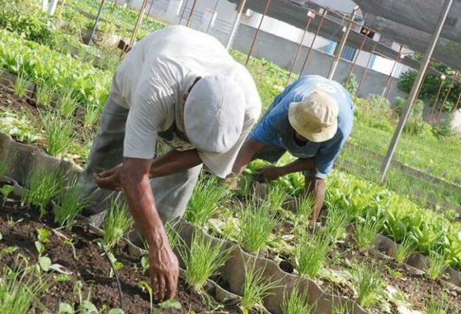 Pequeños y medianos productores agropecuarios podrán hacer acuerdos de pago