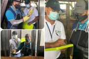Ciclo contra aftosa ha vacunado el 19, 8 % del hato bovino y bufalino