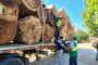 La Policía incautó madera de contrabando en La Paz (Cesar)