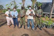 Liberación de fauna silvestre y plantación de árboles realizó Corpocesar en el Día Mundial del Medio Ambiente
