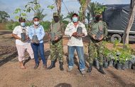 Liberación de fauna silvestre y plantación de árboles realizó Corpocesar en el Día Mundial del Medio Ambiente
