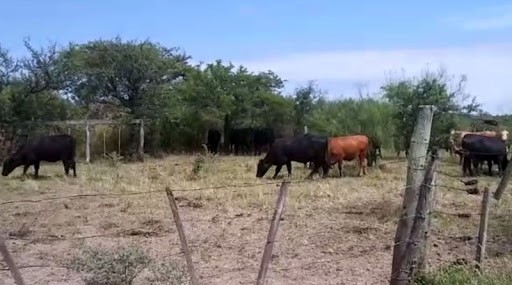 En La Guajira aseguran que se tienen identificados los ladrones de animales, pero no hay control