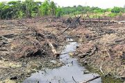 Se desarrolló primer encuentro del Nodo Regional de Cambio Climático Caribe e Insular