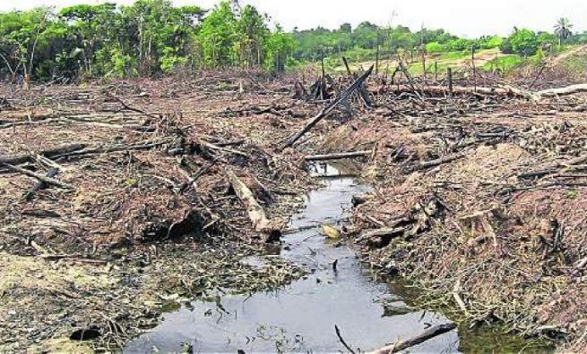 Se desarrolló primer encuentro del Nodo Regional de Cambio Climático Caribe e Insular